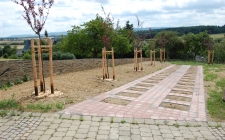 Friedhof_Urnenfeld1.jpg