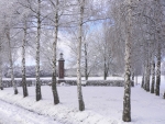 Biebern im Winter